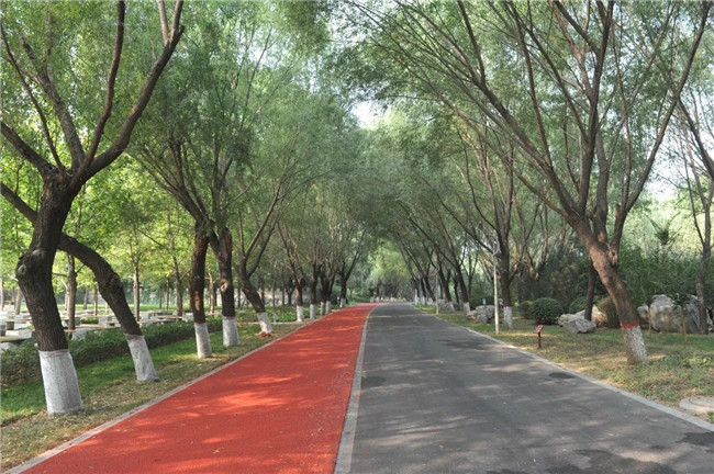 生態(tài)健身步道